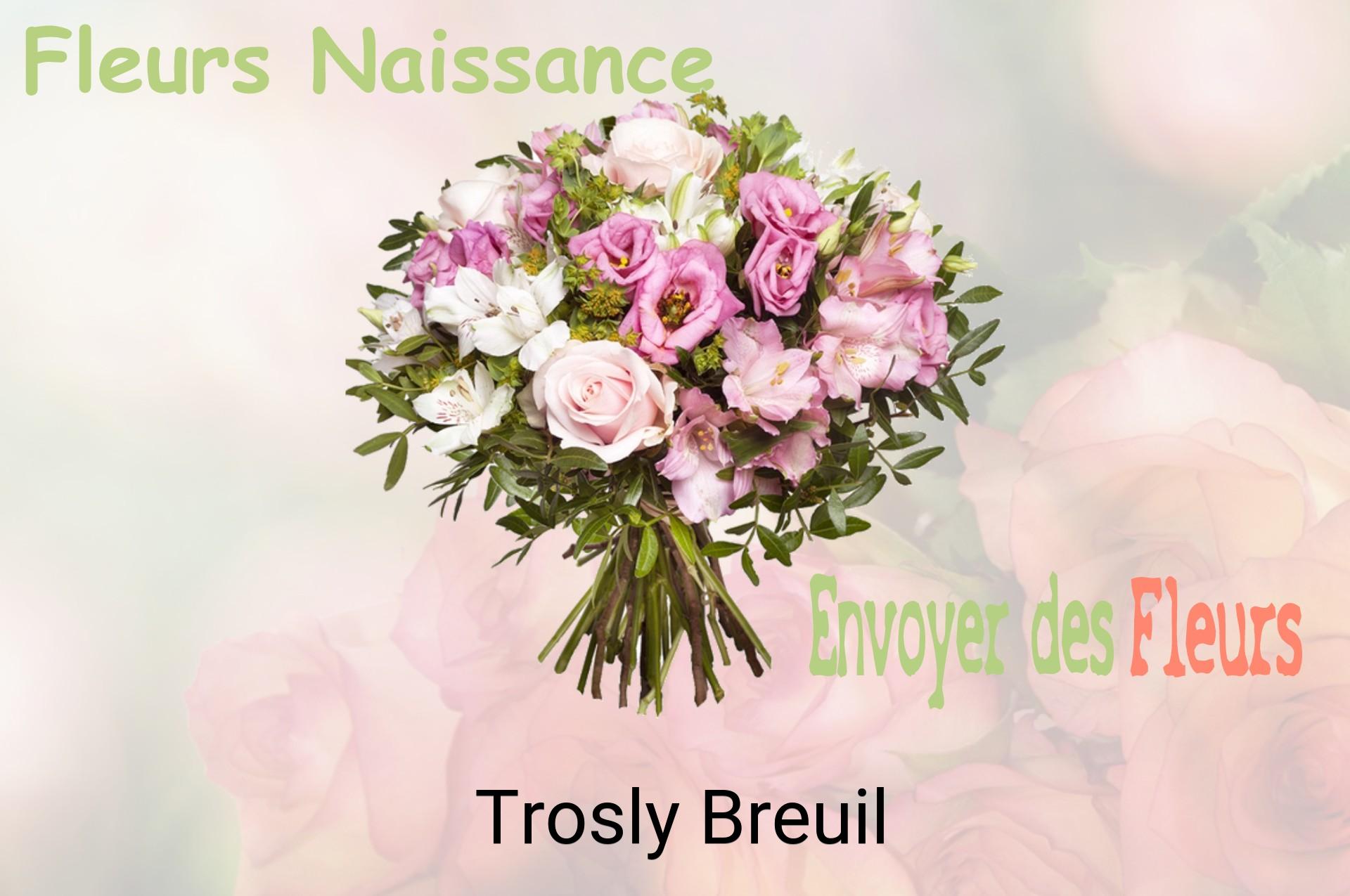 Bouquet de fleurs de naissance livré à Trosly-Breuil