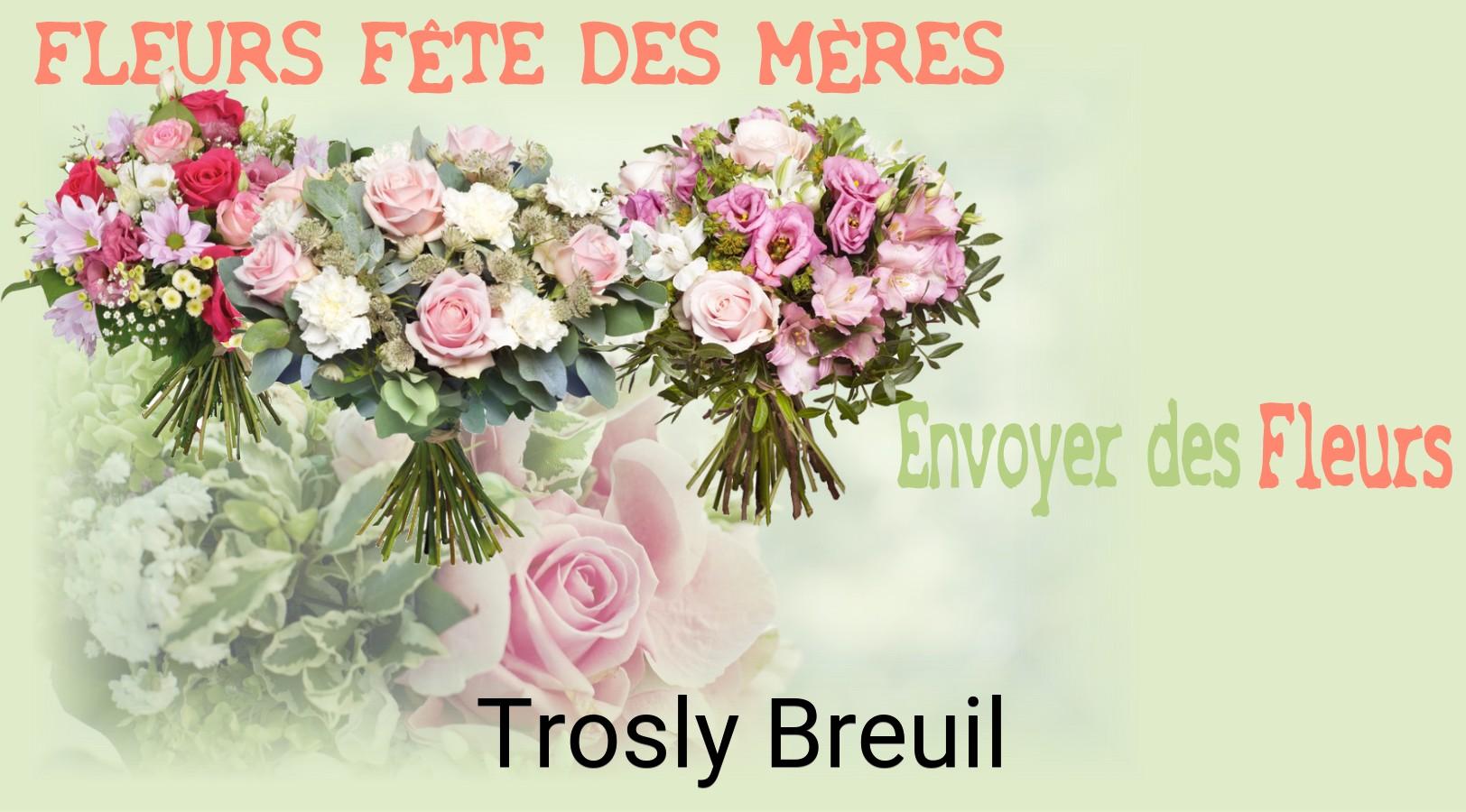 Bouquet de Fête des Mères livré à Trosly-Breuil